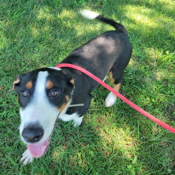 Hello! Thank you for visiting our closet! - Picture 10 of 10